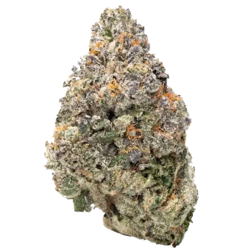 wham thc