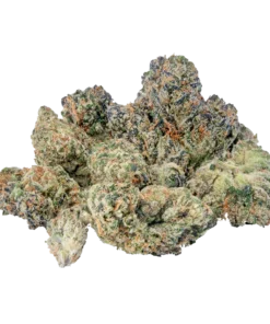wham strain