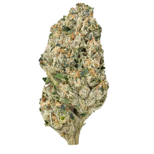wham thc