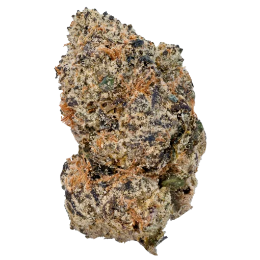 wham strain