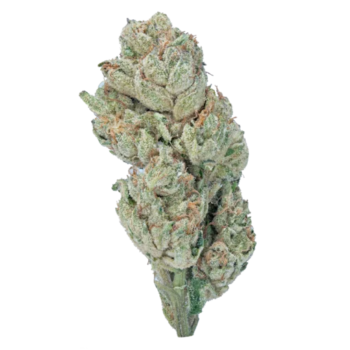 wham weed strain