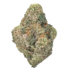 wham strain