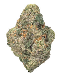 wham strain