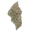 wham strain