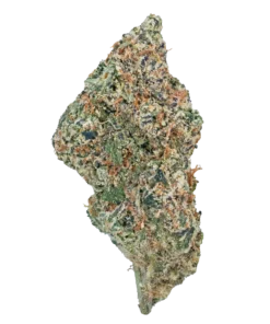 wham strain