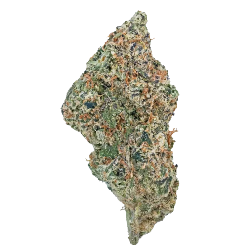 wham strain