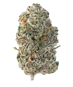 wham thc