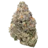 wham thc